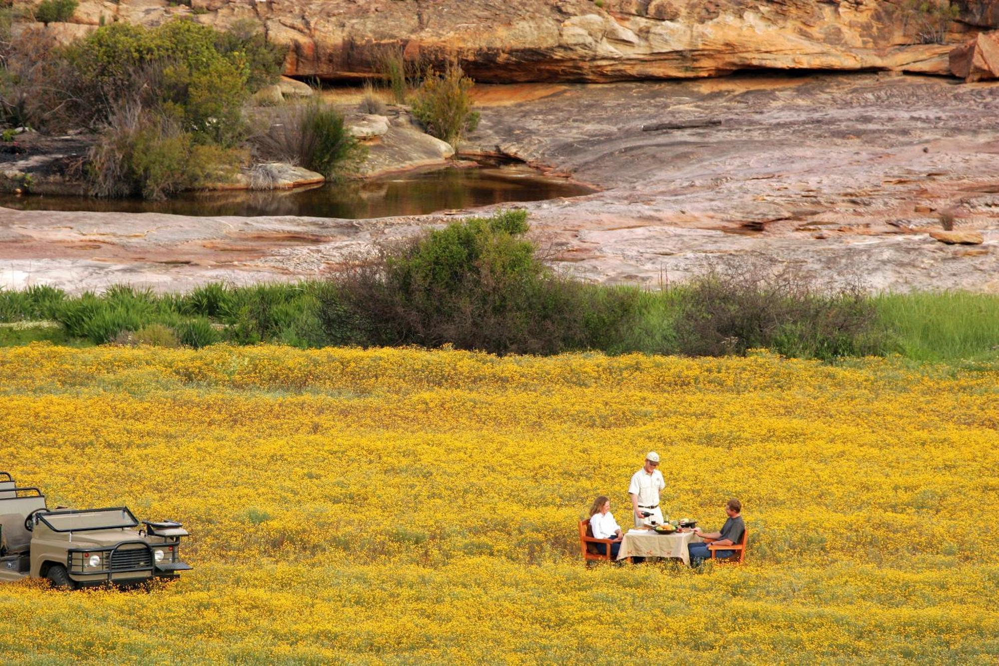 Bushmans Kloof Wilderness Reserve And Wellness Retreat Clanwilliam Exteriör bild